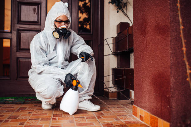 Reliable Cockroach Control contractor in Moorefield, WV by Nex Pest Control